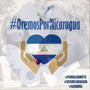 Meet your Posher, Rosa